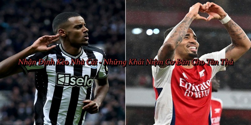 Nhận Định Kèo Nhà Cái - Những Khái Niệm Cơ Bản Cho Tân Thủ